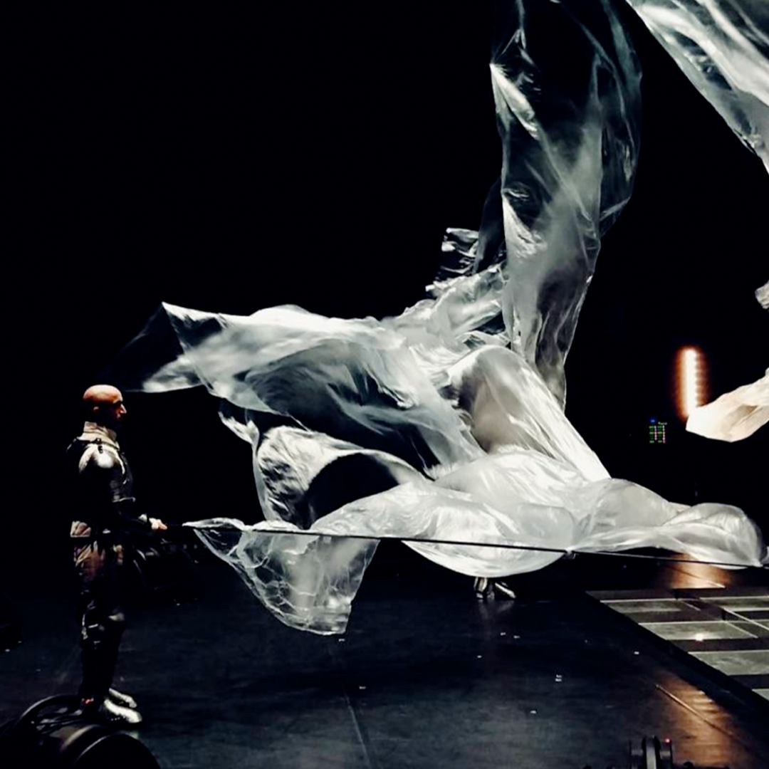 Crop_0002s_0000_Capa 6