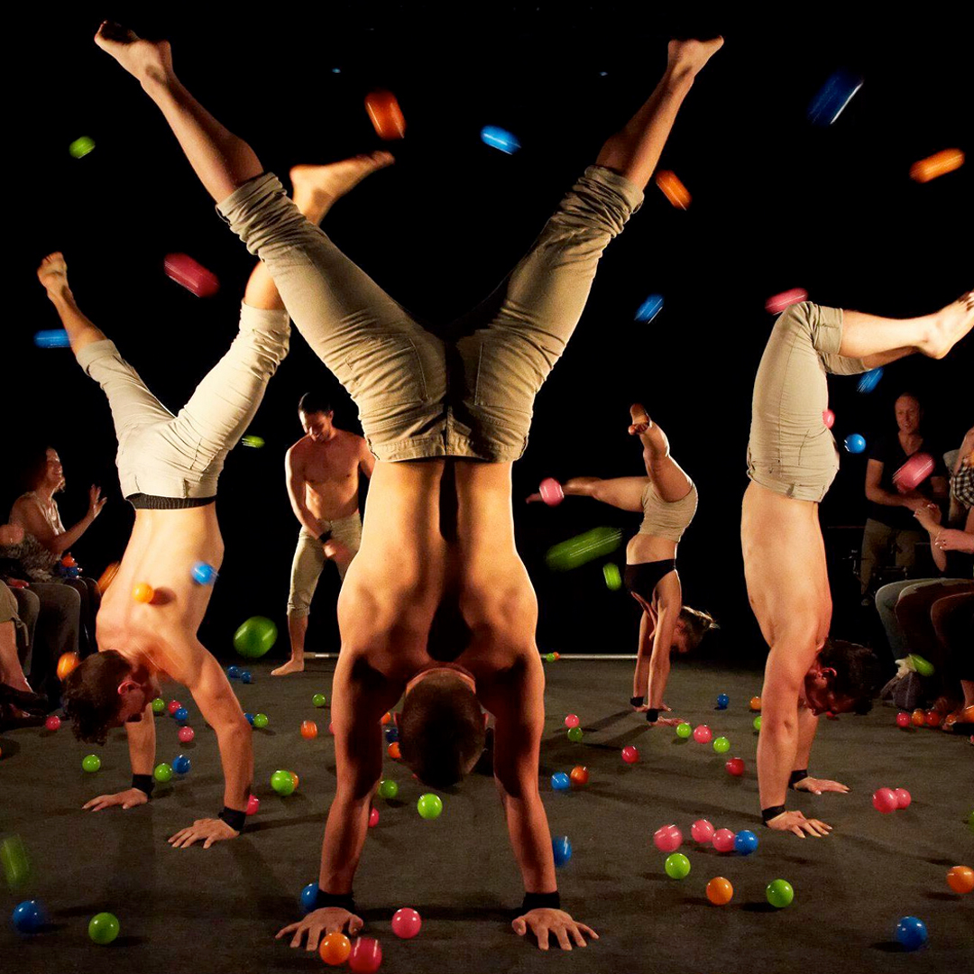 Crop_0002s_0004_Capa 1